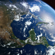Image for article titled Researchers Publish List Of Ways Animals Can Help Fight Climate Change